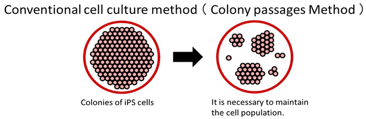 Conventional Cell Culture Method