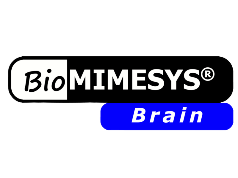 Biomimesys Brain Logo