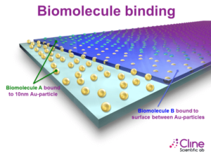 Biomolecule Binding