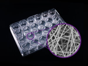 Cellevate Nano Fiber Based Scaffold