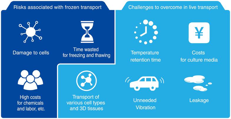 Frozen transport vs Live transport