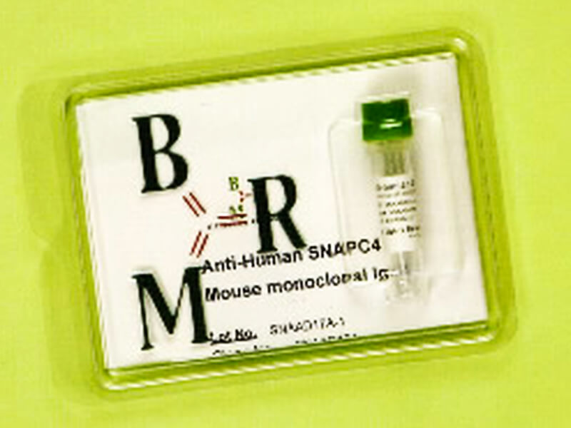 Monoclonal Antibody Transcription Factor