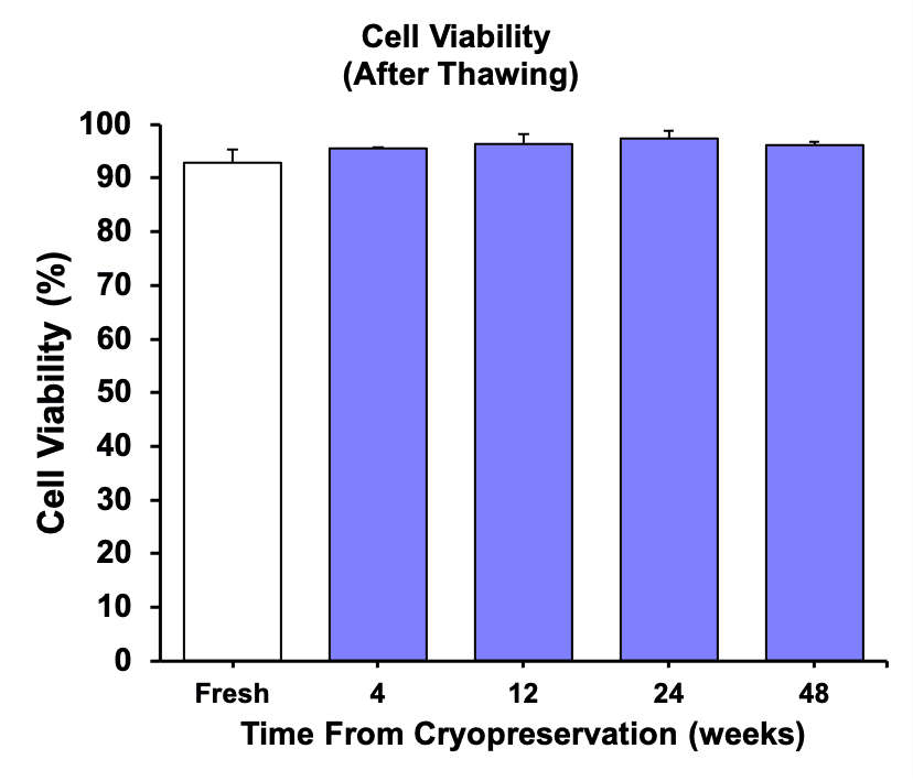 Cell Viability after overnight resting