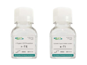 Trypsin