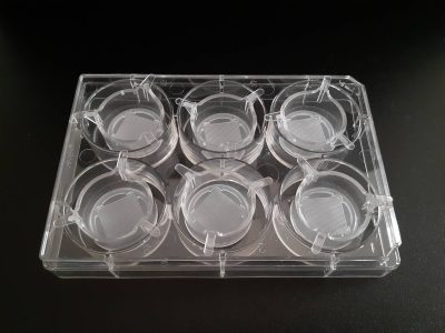 tascl SiGN_2025-03-19-1557