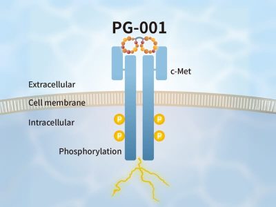 PeptiGrowth HGF alternative peptide