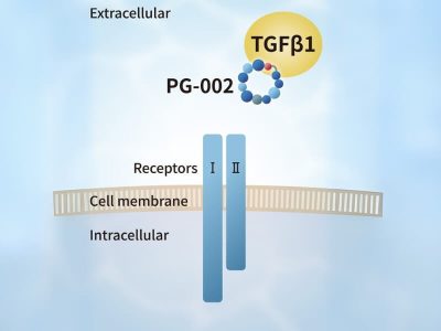 PeptiGrowth TGFβ1 inhibitor (TGFβ1 binding peptide)