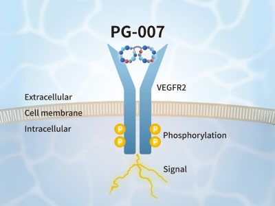 PeptiGrowth VEGF Alternative Peptide (VEGFR2 agonist)