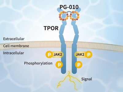 PeptiGrowth TPO Alternative Peptide (TPOR agonist)