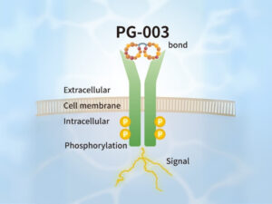 PeptiGrowth BDNF Alternative Peptide (TrkB agonist)