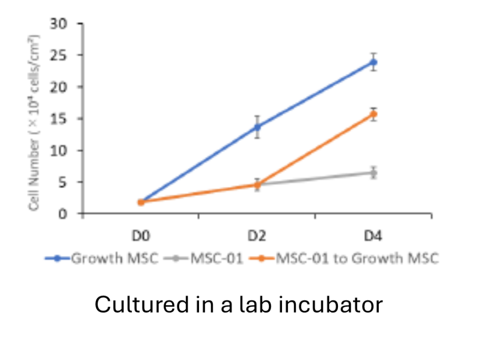 Xyltech Culture in Lab